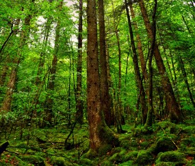福州正规捐卵联系方式，附捐卵机构名单一览！