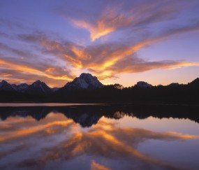 多囊试管婴儿的成功率高吗（多囊试管婴儿的成功率高吗知乎）