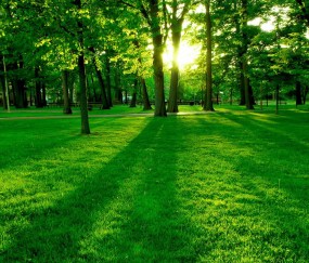 怀孕了不知道宝宝健康不焦虑（怀孕了不知道孩子健不健康）