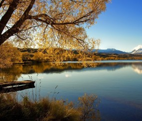 孕中期孕妇感冒发烧（孕中期感冒发烧对宝宝有什么危害吗）