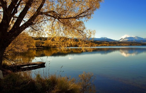孕中期孕妇感冒发烧（孕中期感冒发烧对宝宝有什么危害吗）