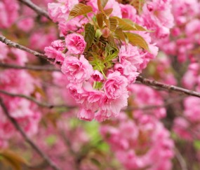 福州正规捐卵机构有哪些，附靠谱捐卵机构选择技巧 ！