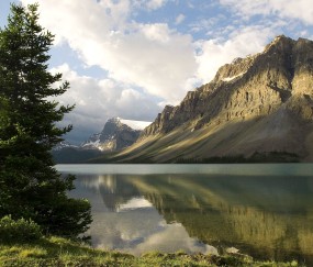 试管婴儿与人工授精的成功率（试管和人工授精的成功率是多少）