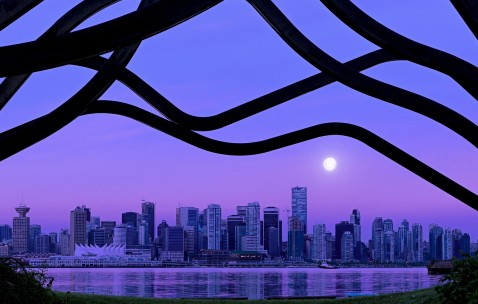 小婴儿拉绿屎（婴儿拉绿屎的解决办法）