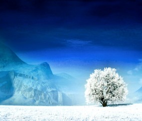 试管婴儿排除遗传病几率（试管婴儿可以排除哪些遗传病）