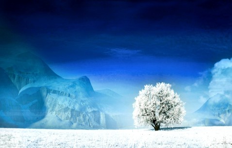 福州正规捐卵联系方式，附供卵不排队医院推荐！