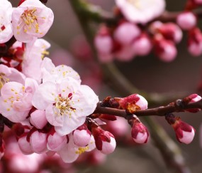 福州正规供卵助孕生殖中心名单发布，附2024供卵费用一览！（福州捐卵机构）