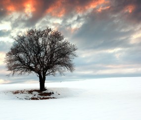 福州正规捐卵机构有哪些，附私立试管机构捐卵价格表！