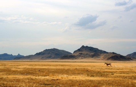 怀孕初期还能吃避孕药吗（怀孕初期还能吃避孕药吗有影响吗）