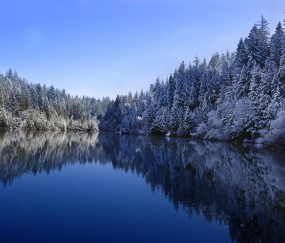 东莞常平哪里门诊看小孩咳嗽（东莞常平哪里有中医看）