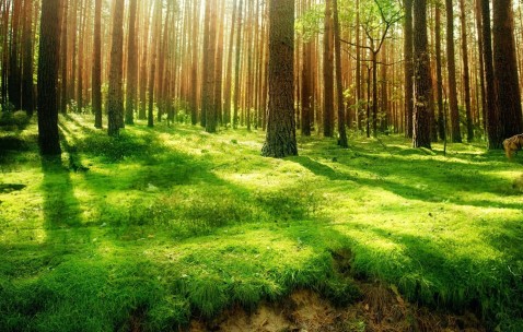 温州试管哪里做的最好