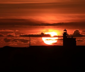 福州正规捐卵机构有哪些，附试管成功率与捐卵详细流程 ！