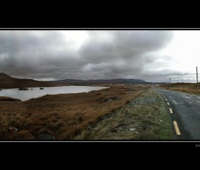 怀孕初期都会血压低吗（怀孕早期会不会血压低）