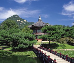 怀孕初期孕妇见血（孕妇初期见血是什么颜色）