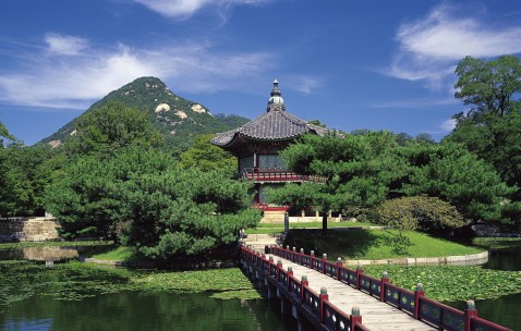 佛山试管婴儿成功率排名