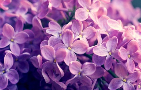 小孩咳嗽用葵花止咳颗粒吃多少（葵花止咳颗粒多少钱一盒）