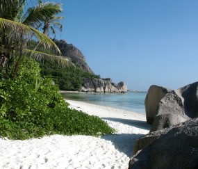 小孩冷感冒咳嗽吃什么药止咳（孩子冷感冒咳嗽吃什么药）