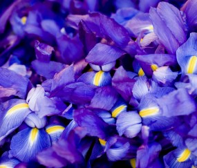 小孩细菌支原体咳嗽吃什么药好（宝宝支原体合并细菌感染咳嗽怎么办）