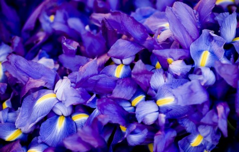 小孩感冒发烧咳嗽可以黄瓜吗（小孩感冒发烧可以吃黄瓜吗）