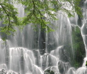 福州正规捐卵机构有哪些，附捐卵成功率高的3家医院推荐！