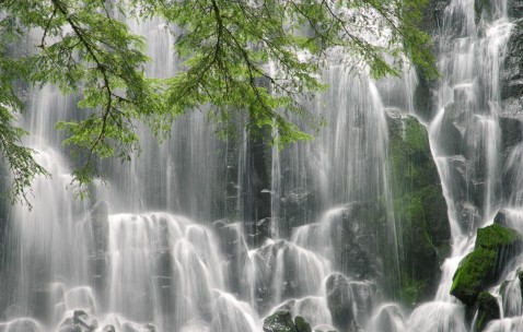 福州正规捐卵机构有哪些，附捐卵成功率高的3家医院推荐！