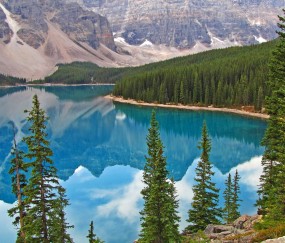 怀孕初期喷了好多次香水（怀孕早期喷了香水怎么办?）