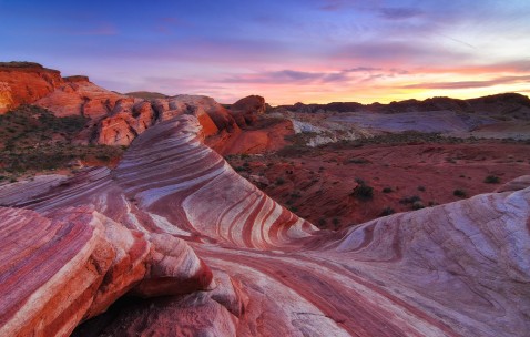 试管双胞胎生男女概率