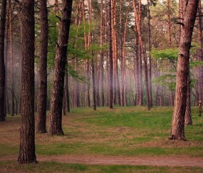 试管婴儿成功率20%（试管婴儿成功率20%有希望?）