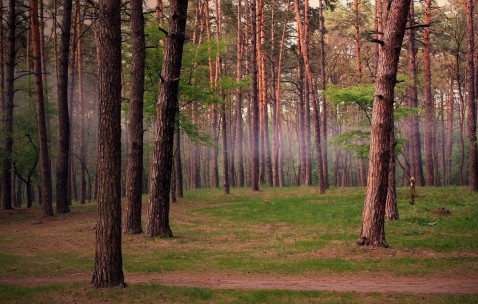 福州7家供(借)卵试管婴儿医院最新排名，2024申请供卵需要排队吗！（福州做试管婴儿的全部费用大概是多少）