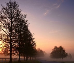 喝了孕妇奶粉可以吃水果吗（喝了孕妇奶粉可以马上吃药吗）