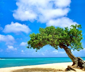 44岁做试管婴儿成功率高吗（44岁做试管婴儿能成功吗）