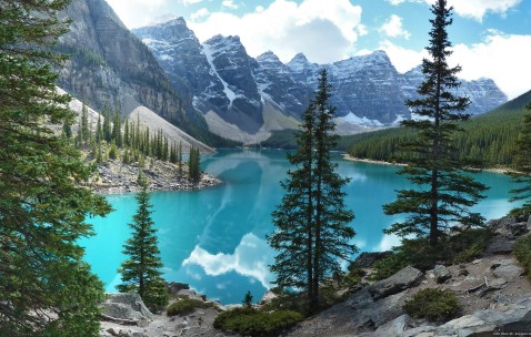 四川做试管婴儿