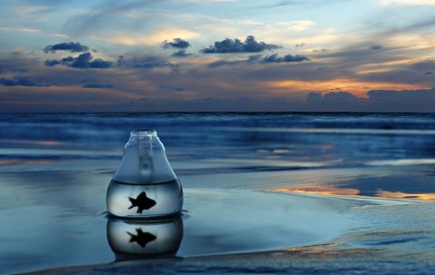 小孩感冒发烧必须要吃药吗（小孩子感冒发烧可以不吃药吗）