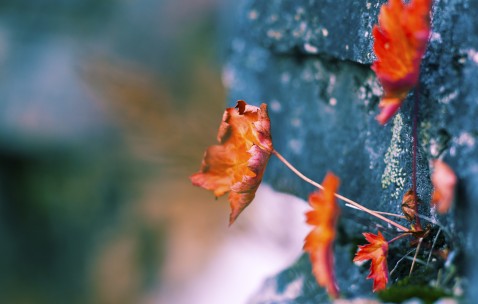 中午测怀孕准确吗准吗