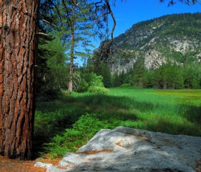四十岁试管婴儿成功率（四十岁试管婴儿成功率多少）