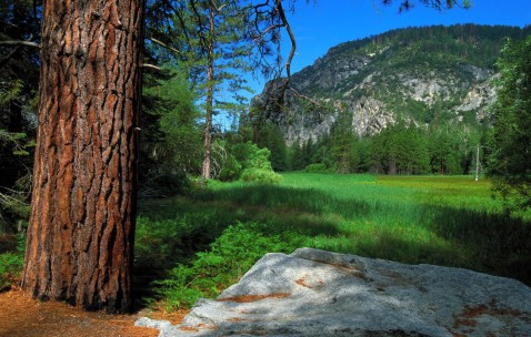 孕妇感冒喉咙痛痒咳嗽吃什么药（孕妇感冒喉咙痒咳嗽怎么办?）