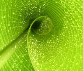 福州正规捐卵机构有哪些，附捐卵试管婴儿医院推荐！