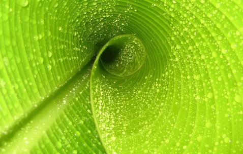 福州正规捐卵机构有哪些，附捐卵试管婴儿医院推荐！