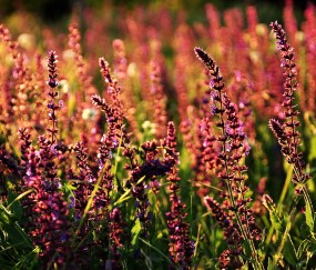 福州正规捐卵联系方式，试管捐卵助孕攻略参考！