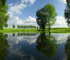 41岁女人做试管婴儿成功率（四十岁女人做试管婴儿）