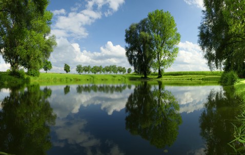 41岁女人做试管婴儿成功率（四十岁女人做试管婴儿）