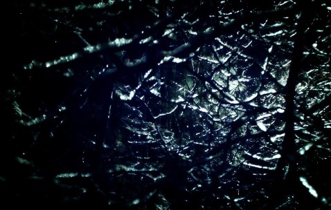 2019年试管婴儿成功率是多少