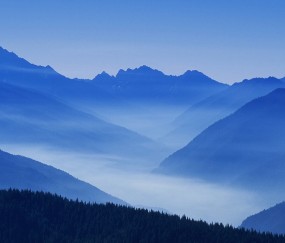 橙子蒸熟小孩吃能止咳嗽吗（橙子蒸熟可以止咳吗）