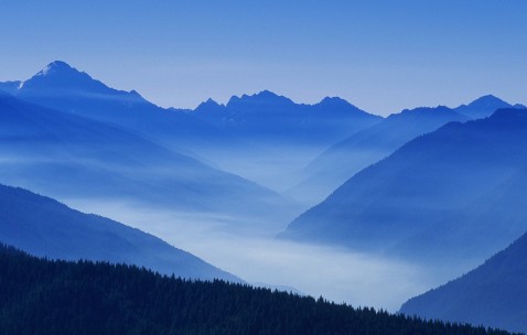 中班健康水果宝宝（亲亲水果宝贝中班健康教育活动目标三维）