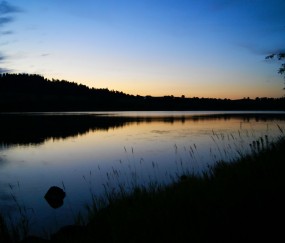 小孩感冒发烧吐了是怎么回事（小孩感冒发烧呕吐怎么办最有效）