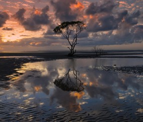 广州试管婴儿成功率有多少?（广州试管婴儿成功率有多少）