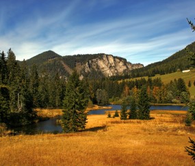 怀孕初期可以带避孕套同房嘛（怀孕初期可以带避孕套同房嘛女生）