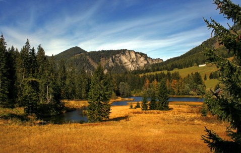 宝宝各个阶段奶嘴种类（婴儿各阶段奶嘴）