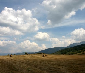 30多岁做试管婴儿成功率（30岁以下试管婴儿成功率）