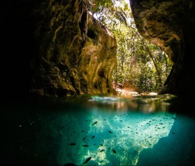 一代试管婴儿成功率高还是二代高（一代试管婴儿成功率高还是二代高呢）